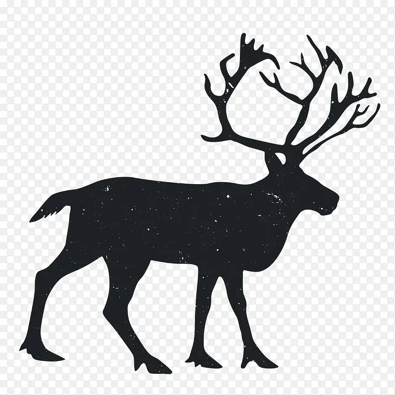 �����Ӱ-������