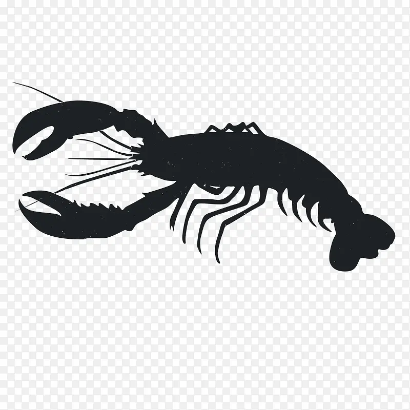 �����Ӱ-������