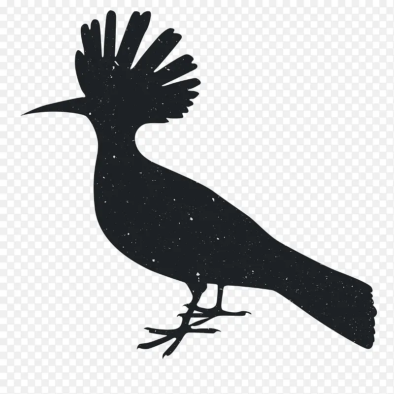 �����Ӱ-������