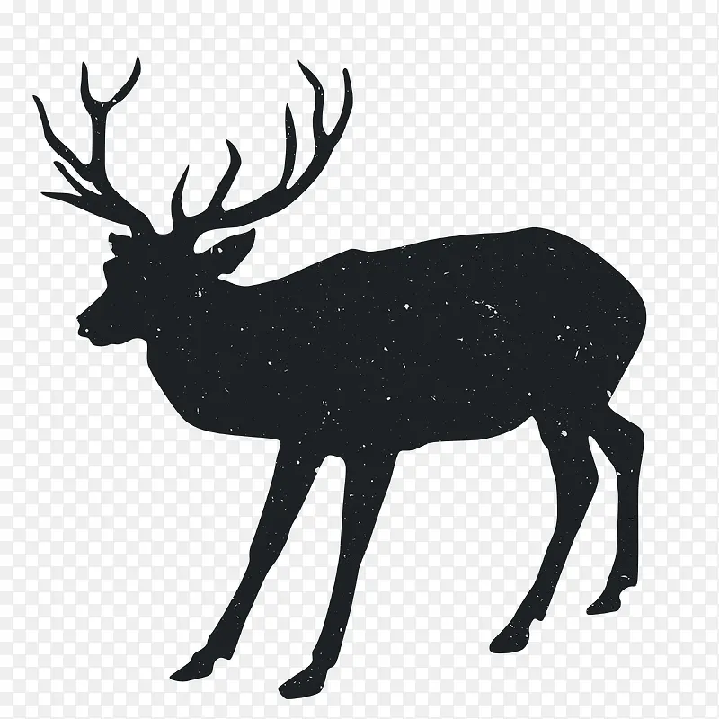 �����Ӱ-������