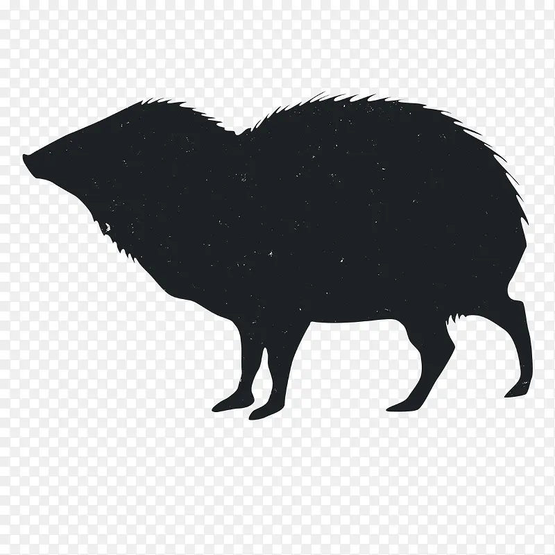 �����Ӱ-������