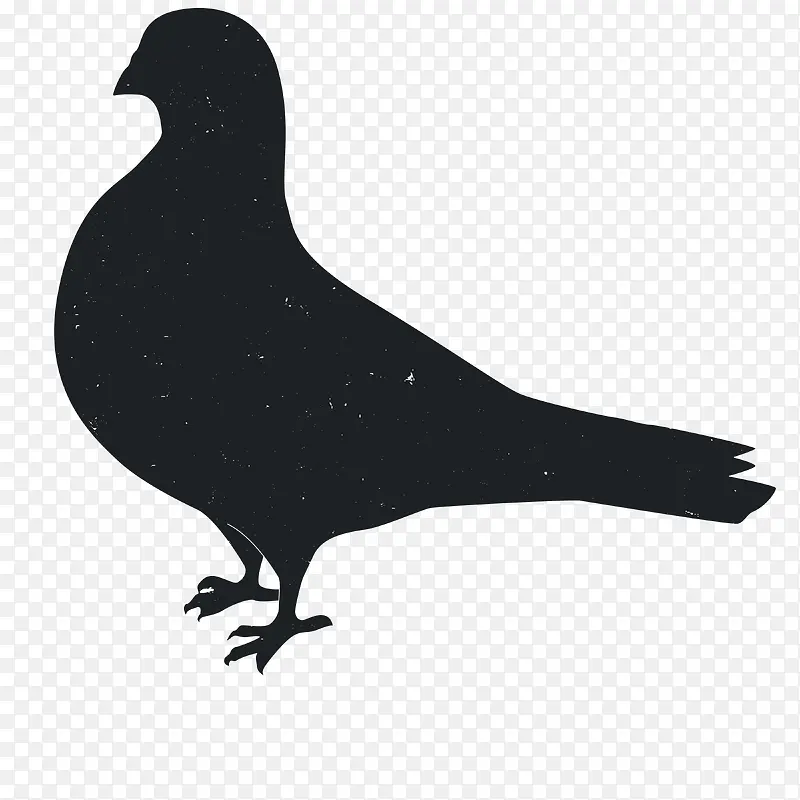 �����Ӱ-������