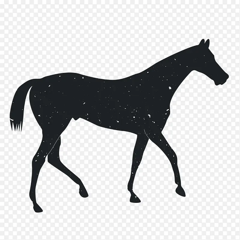 �����Ӱ-������