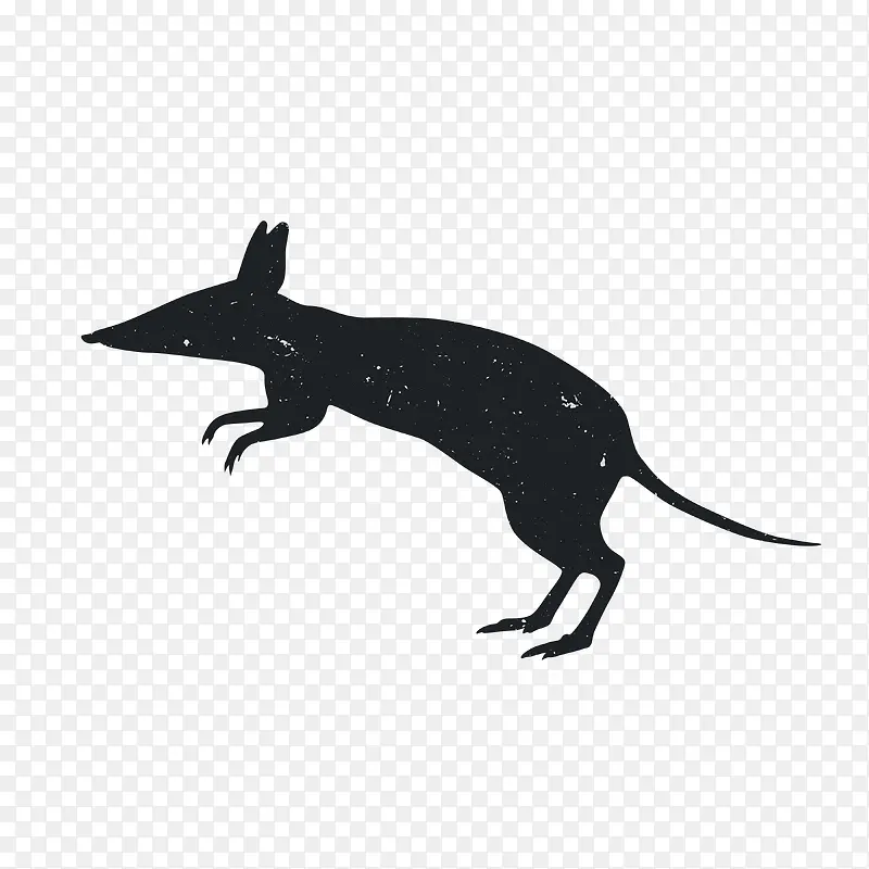 �����Ӱ-������