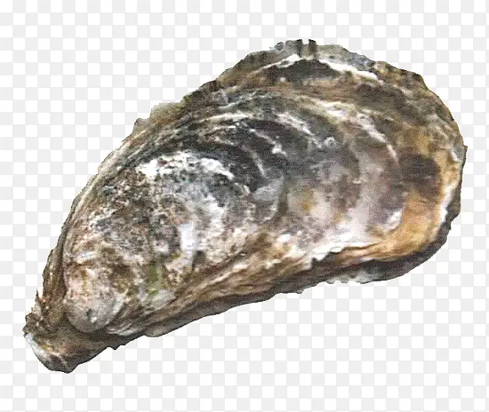 ��ɫ�������-������