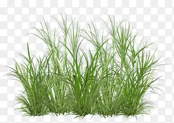 �̲�ͼƬ�ز�-������