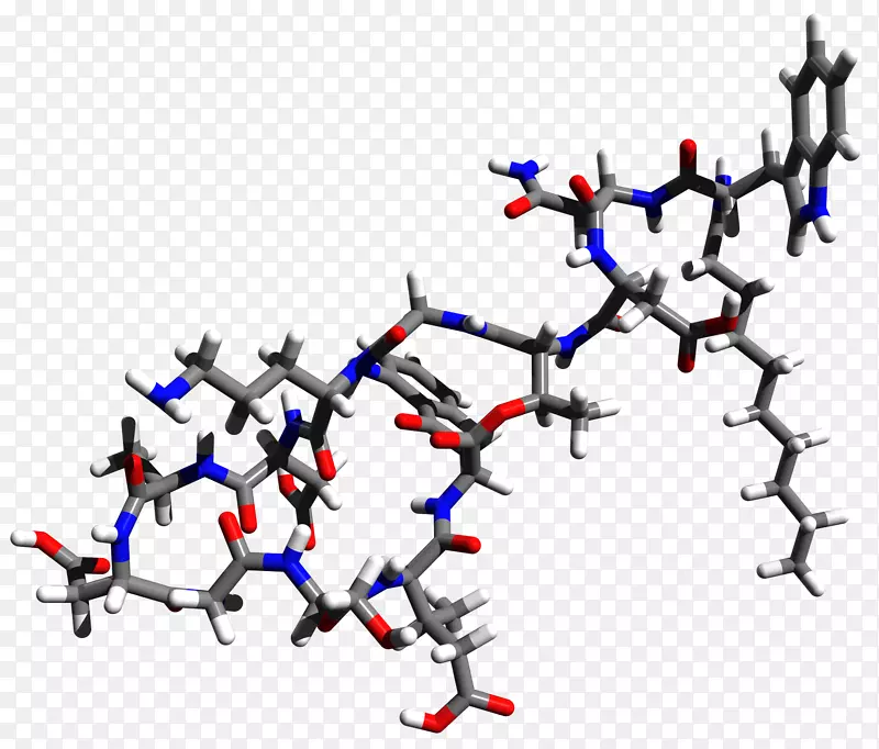 �߼����������.ϸ��-������