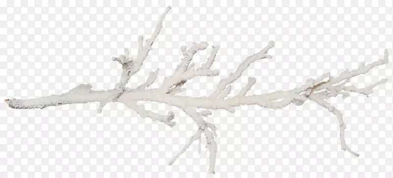 ��֦ѩ��-������