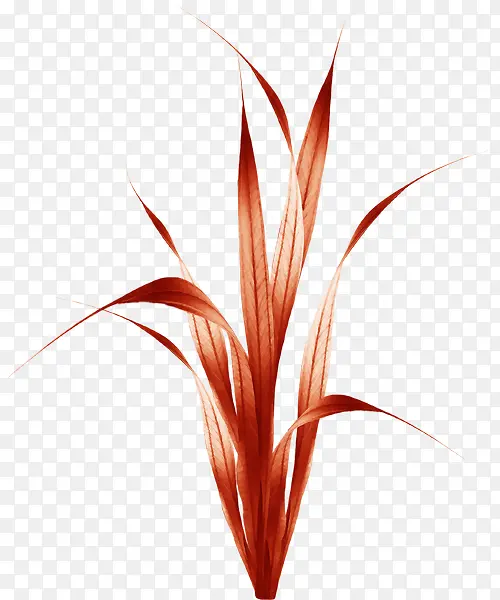 �ݲ�-������