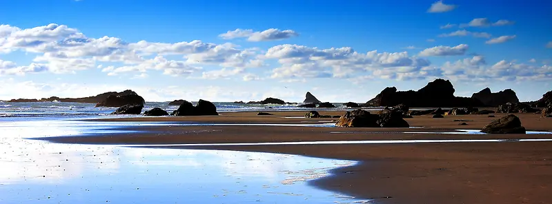 ����Ȼ����-������