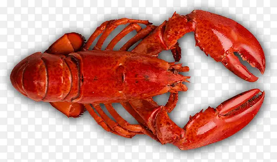 ������ζ��Ϻʳ��-������