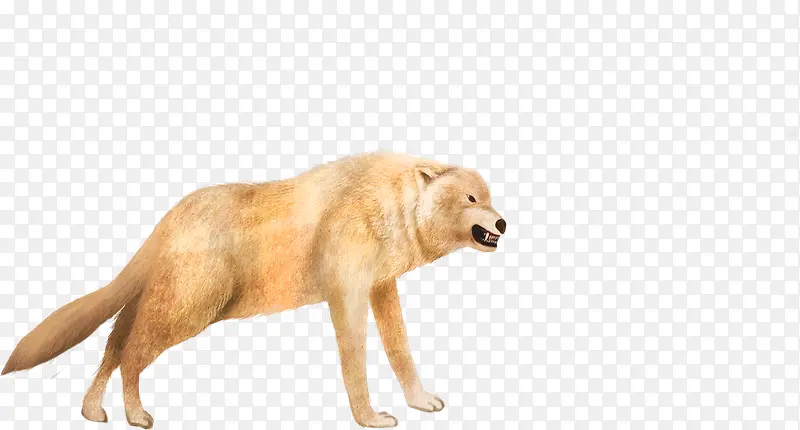 �ֻ���嶯���ͼ-������