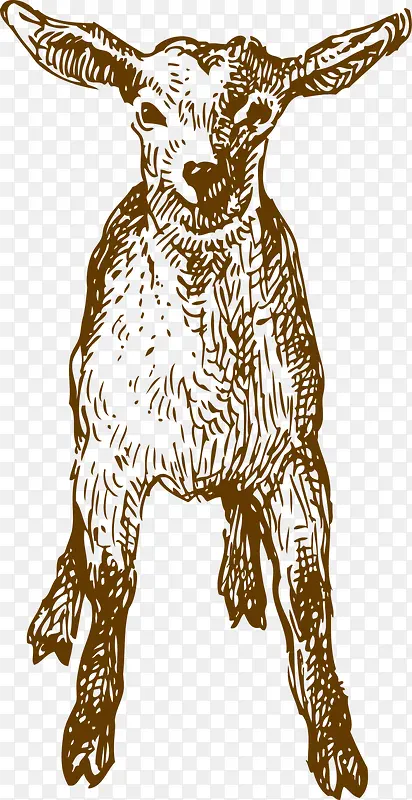 ���ֻ�-������