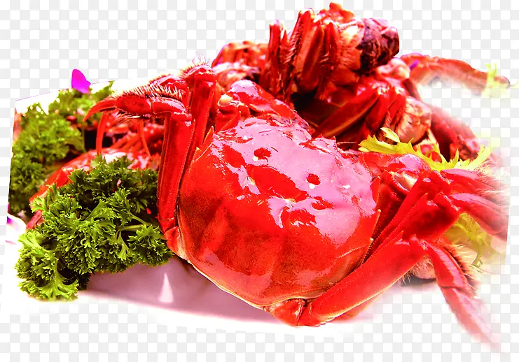 �����ɫ�зʳ��-������