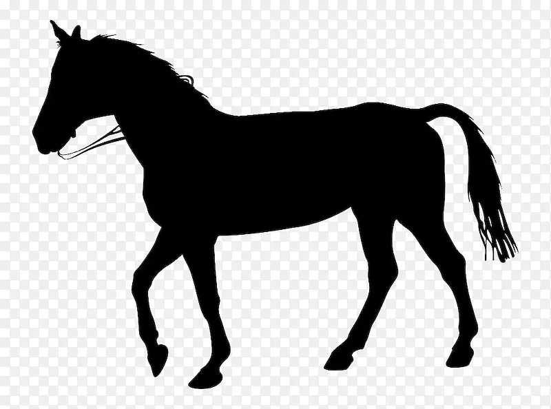 �����Ӱ-������