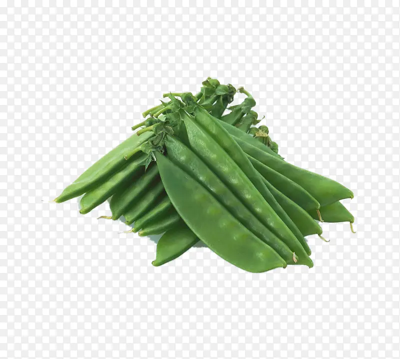 ʳ��-������