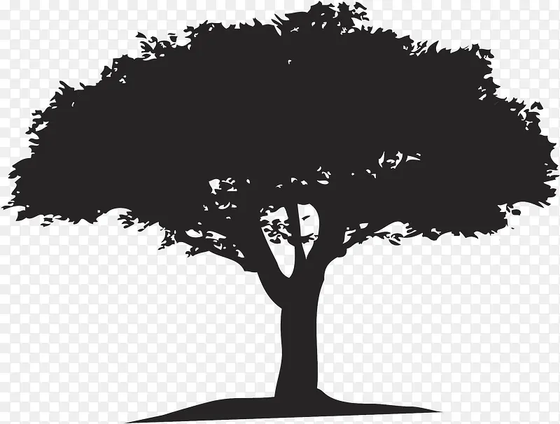 ��Ӱ��-������