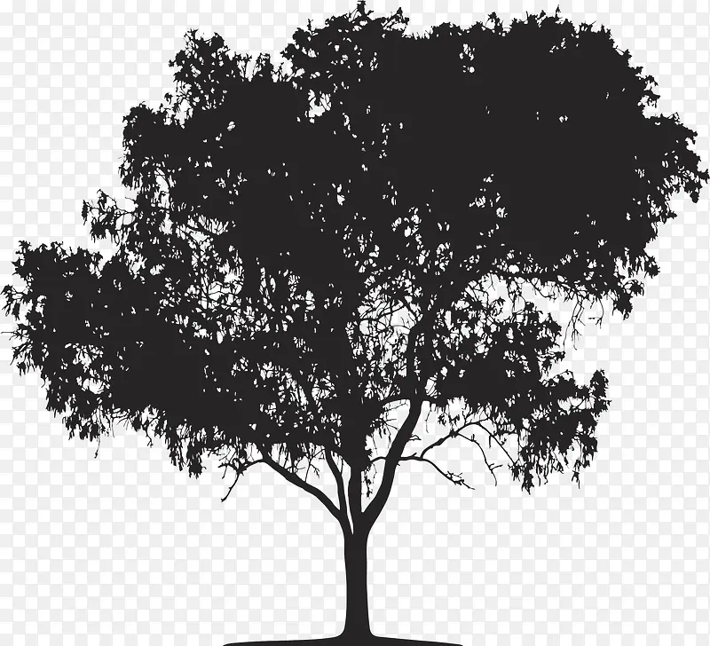 ��Ӱ��-������