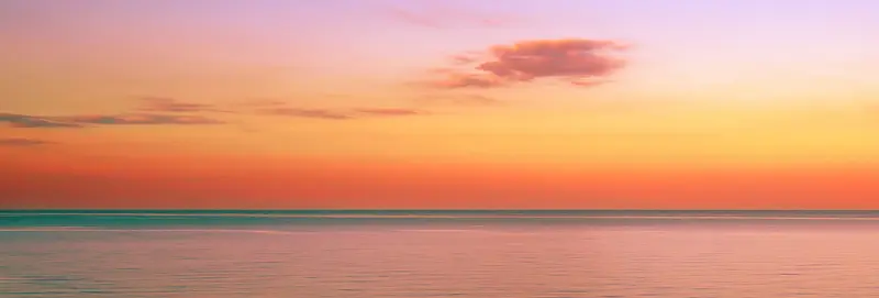 ��ɫ����-������