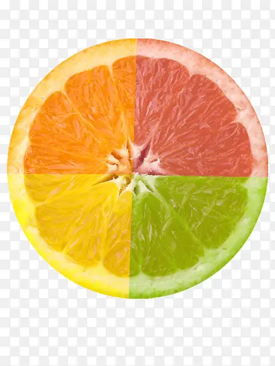 ��ɫ����-������