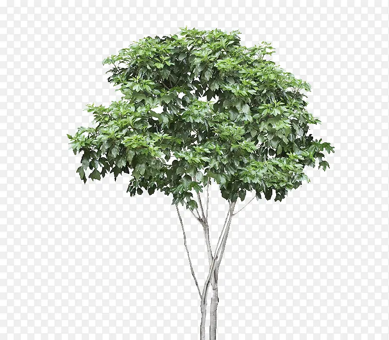 ��-������