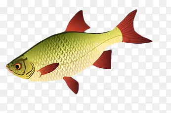 �ֻ��������-������