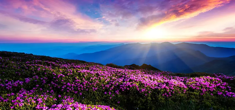 ��Ӱϵ�б���-������