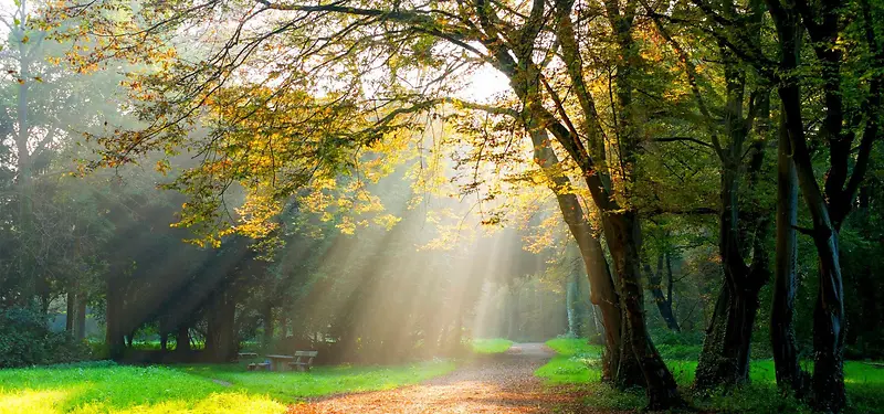 ��Ӱϵ�б���-������