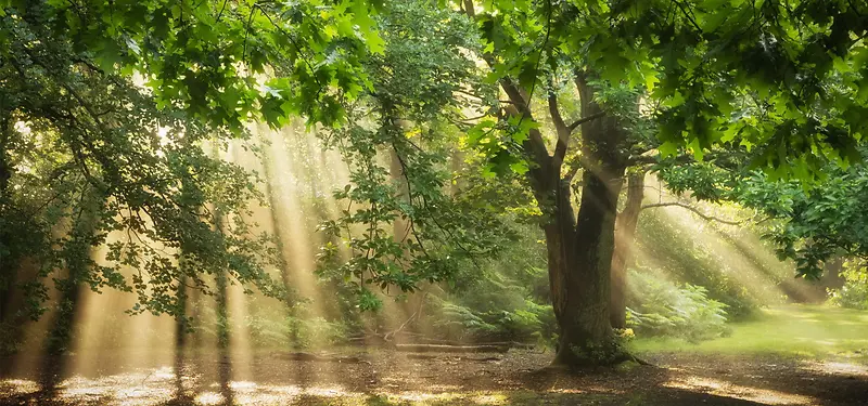 ��Ӱϵ�б���-������