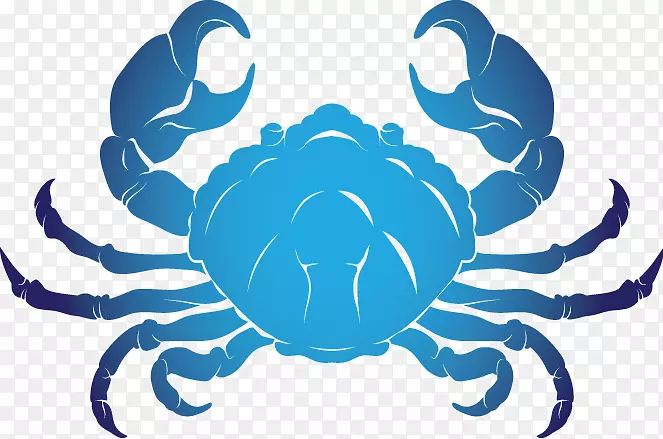 �з������Ӱ��ͼ.��֢�Ƶ�����͸������-������