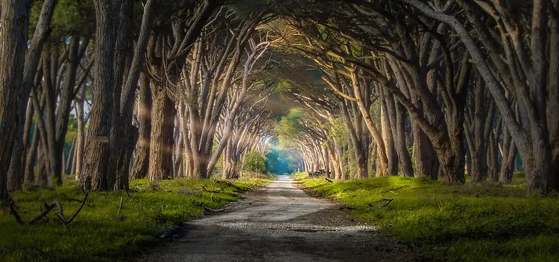 ��Ӱϵ�б���-������