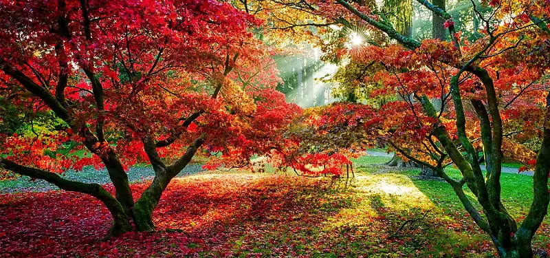 ��Ӱϵ�б���-������