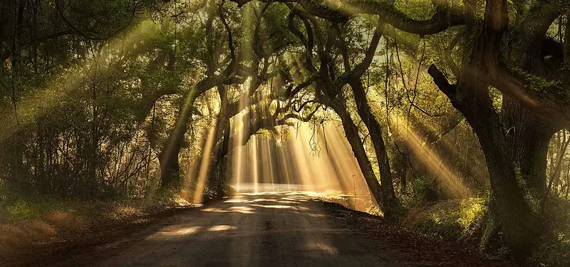 ��Ӱϵ�б���-������