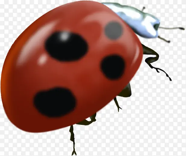 ��ɫ��������װ��-������