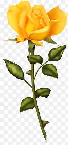 �ֻ��õ��-������