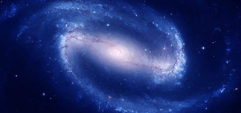 ��ѡ�زı�����ѡ�زı���-������