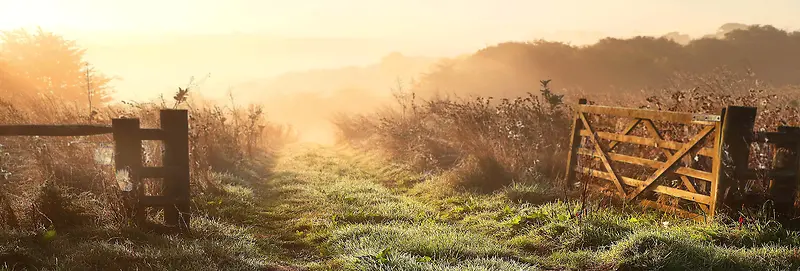 ���ű���-������