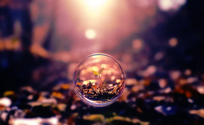 ���ű���-������