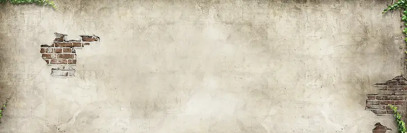 ���ű���-������