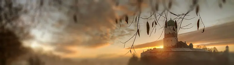 ���ű���-������