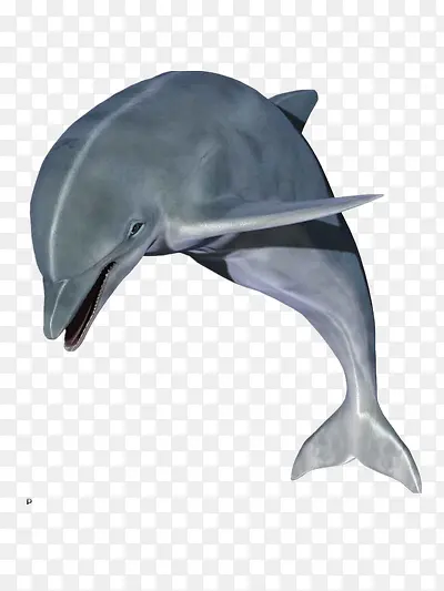 �ɰ�����-������