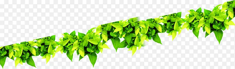 ��ɫ�����ز�-������