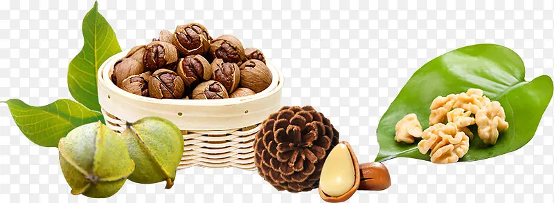 ����ʳ����ʳӪ��-������