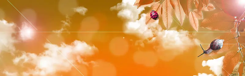 ��Ҷ��С����-������