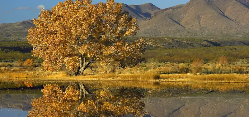 ����ͼƬ-������