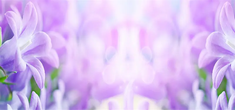 ��������-������