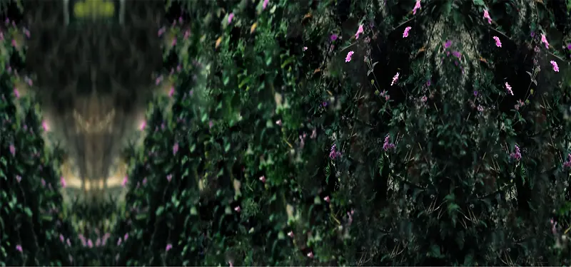 ����ͼƬ-������