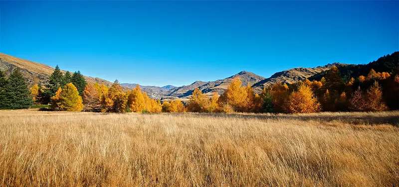 ����ͼƬ-������