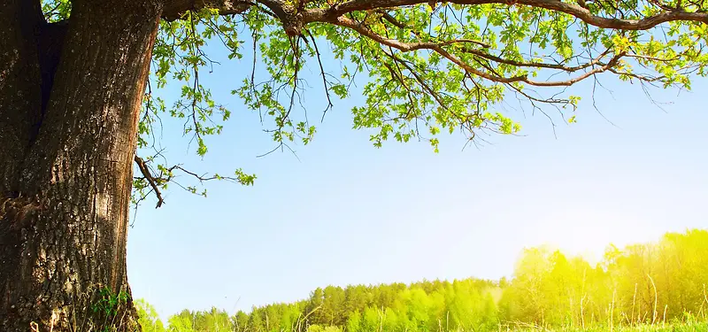 ����ͼƬ-������