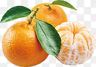 ���������ˮ������-������